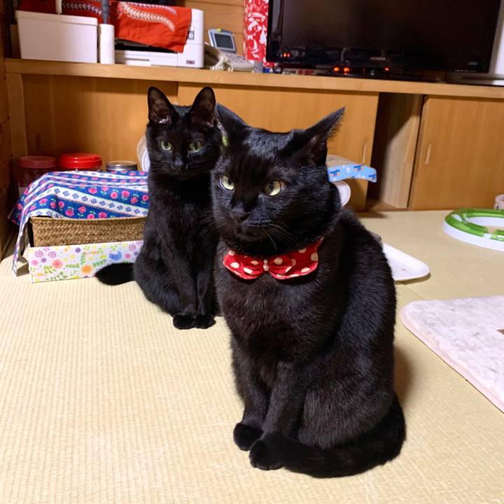 8e327290 e3ce 41c6 a94d c7739d3ec339 1587820026216