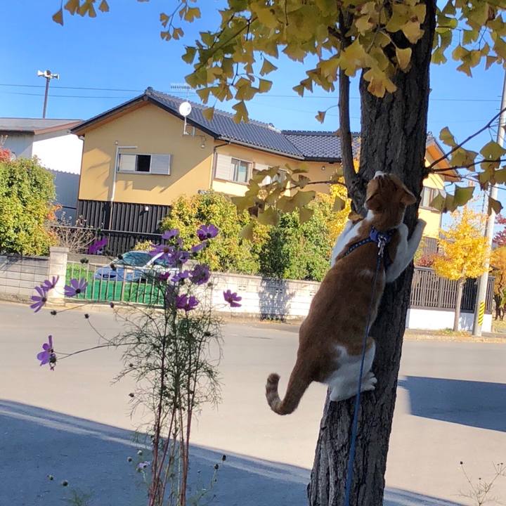 8e329bb0 492f 4291 9021 05bb232bd3c8 1541222934903