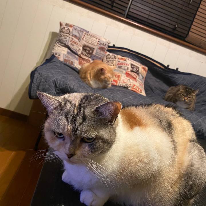 8e329bdc a53a 47e8 978f fe6477d7d28c 1585839796307