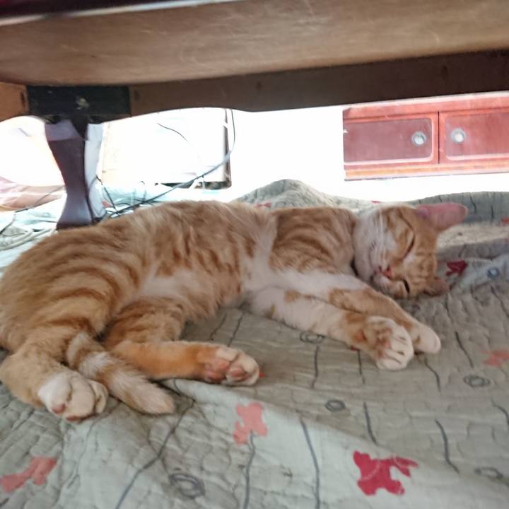 8e32b8cf 71dd 4e9a b1c2 6f7a45b5fcd4 1563154972661