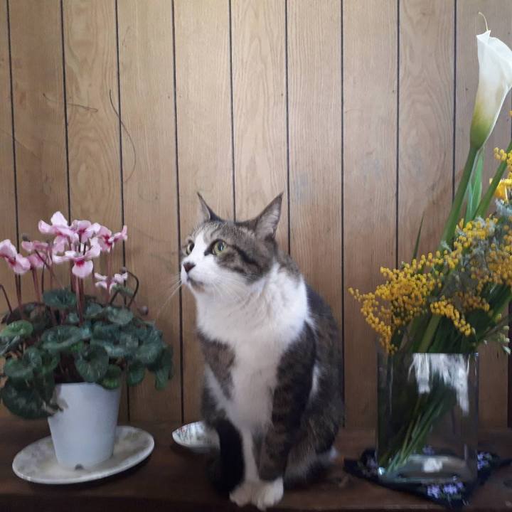 8e32c3d6 1fa2 4738 a920 7836661874b8 1648819550056