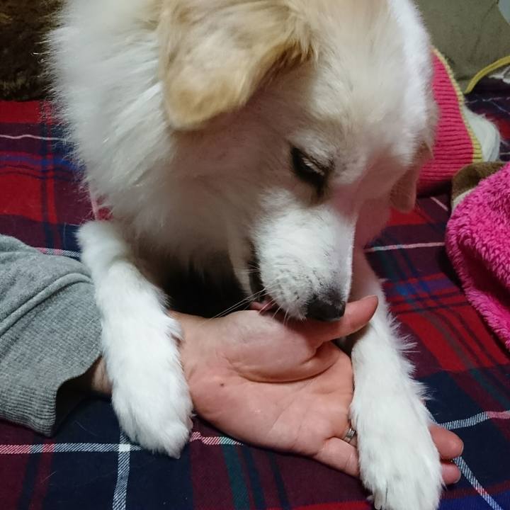 8e3342cf b30b 42d4 8ca8 4c8f3167aaeb 1514467328257