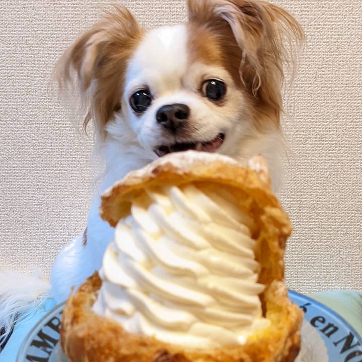 8e3366b7 459a 4fc2 8d0d 9f283fcd73e0 1658148840809