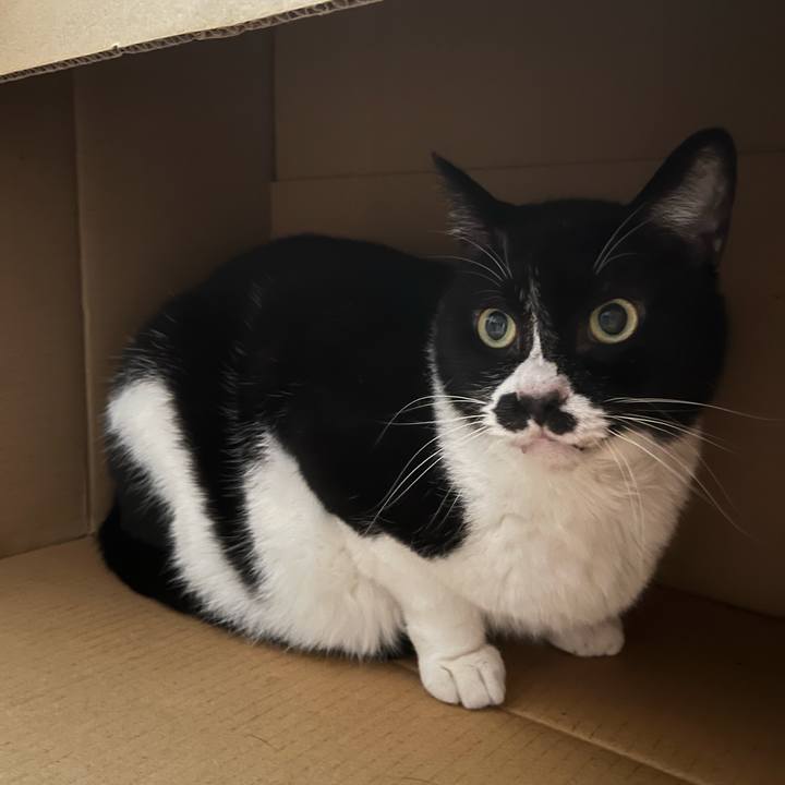 8e338990 f00a 402f 9932 7faf663af627 1711878773429