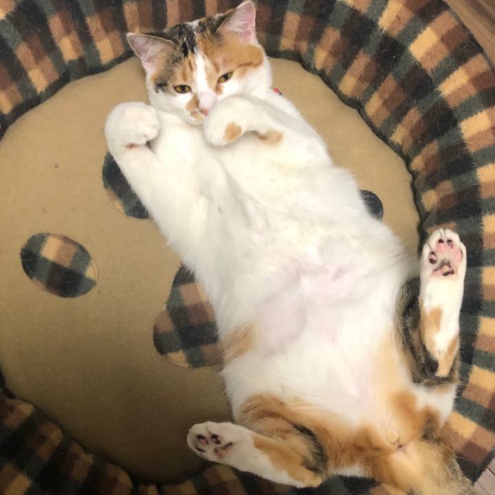 8e33bad7 260c 4c31 8af6 8595ee7d3fd8 1579186520614