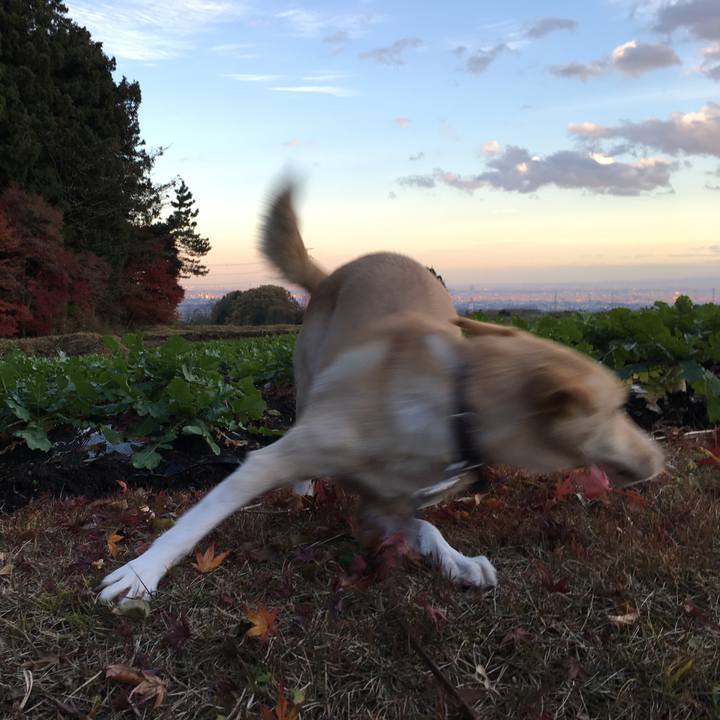 8e33deee 960c 44c5 9db2 bb41be3a15f7 1511422178394