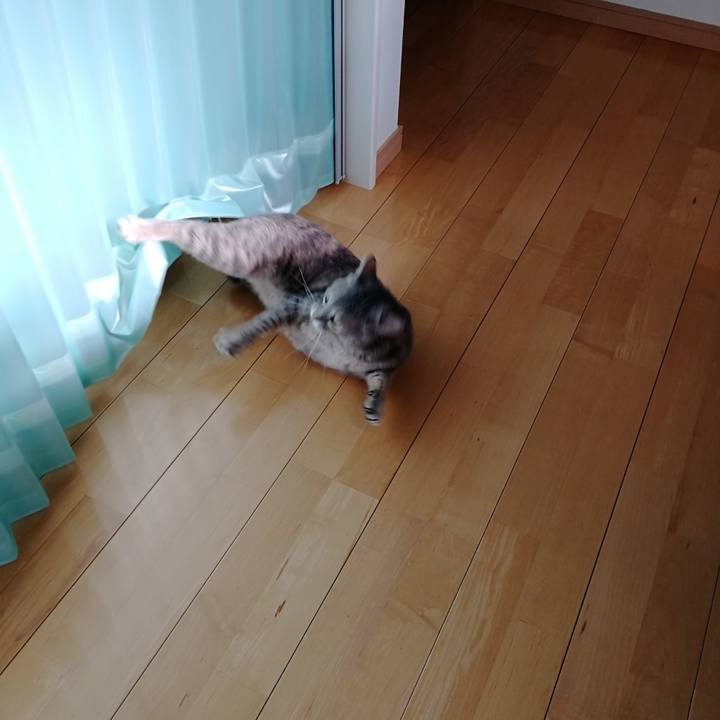 8e33e2b0 9f00 462f 86d2 01f903bfb26f 1543298157406