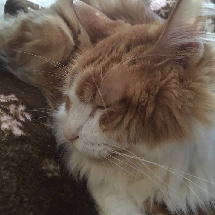 8e33fa1b 30f4 4e2f 8fbc bfc2be998383 1571364370532