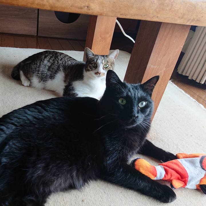 8e33fe28 9f39 43ef 9f0c b85c55fd098c 1648961341630