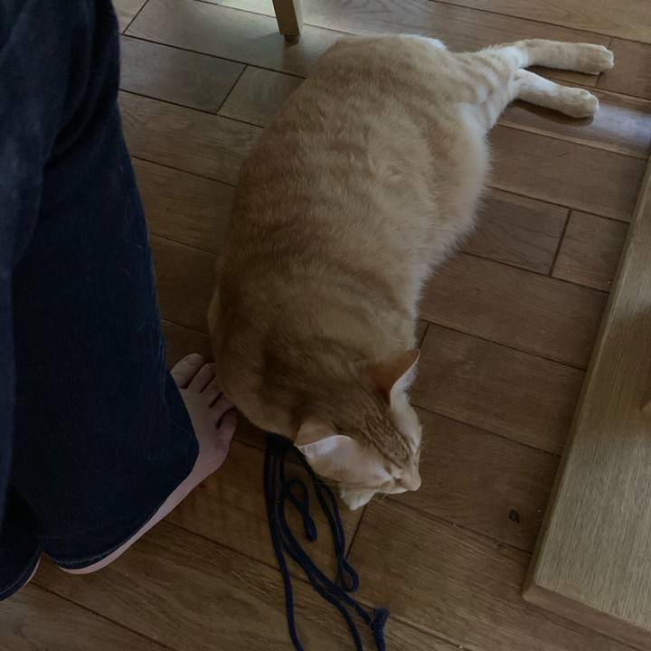 8e340704 615e 4c32 a29e 0dd0962432d4 1563888324495