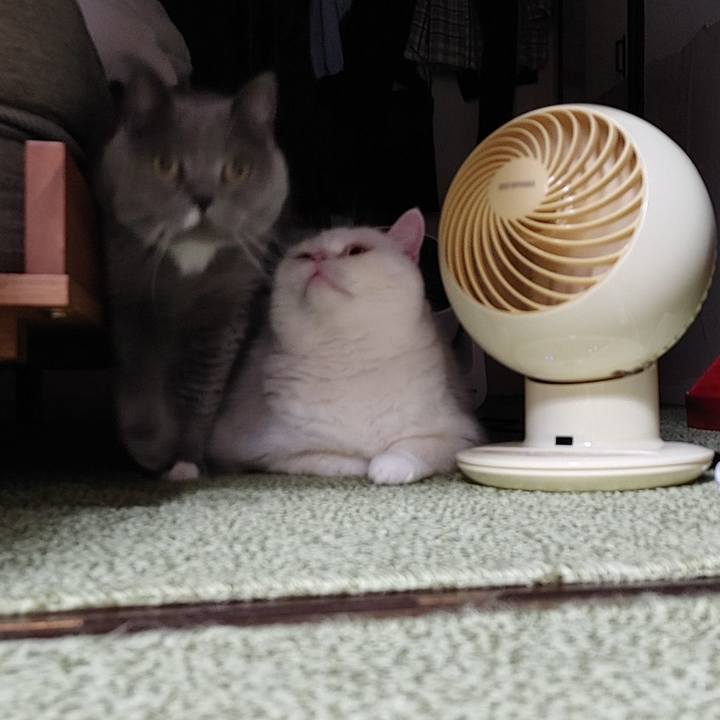 8e345837 5b3a 49a6 9d67 35789392b4df 1669727904755