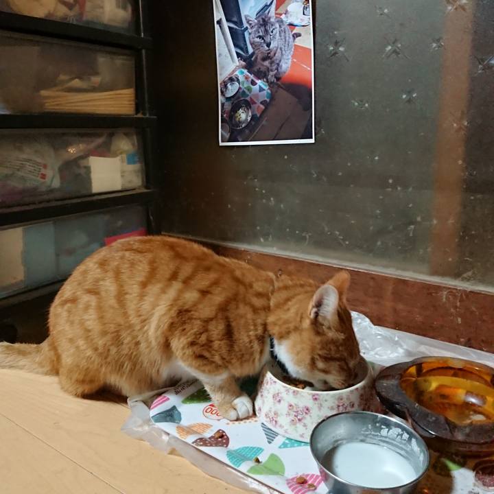 8e349b3d 0d3a 4134 880f bbe6c081ebcd 1602535512315