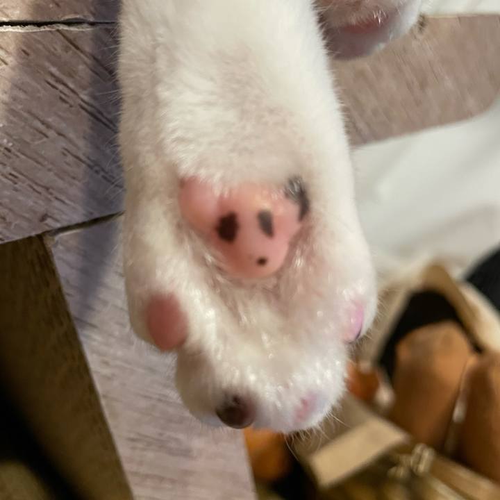 8e352b96 7ada 4dc4 bc92 38fc6e4557b9 1666600754895