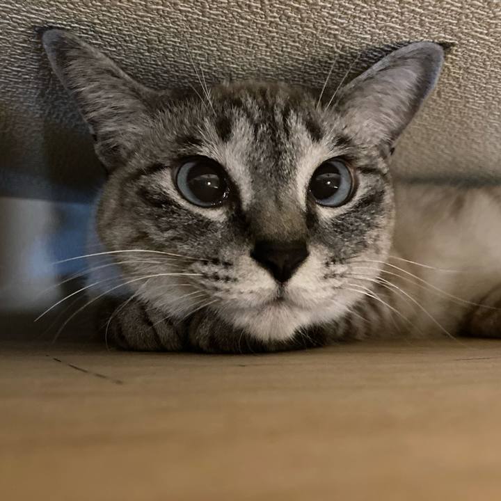 8e35300c 5ce8 485b 91d7 e0112e7d8641 1612100132111