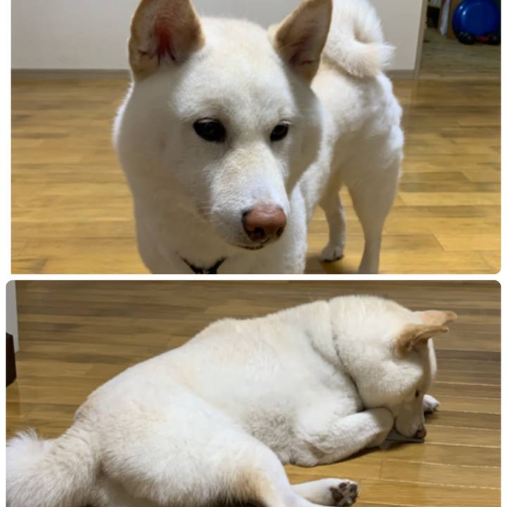 8e355799 48ea 4856 96a7 613b192d8aa9 1593070231965