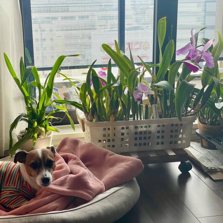 8e3579c6 90b8 4730 83eb 5366efc70ef2 1736151611303