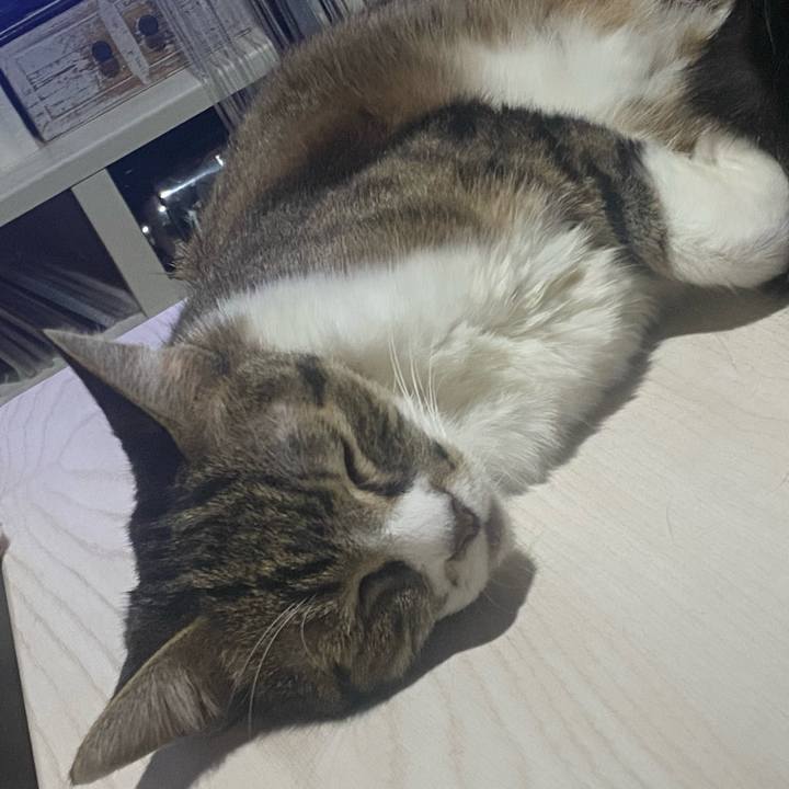 8e35b641 89fe 4541 926a f59f80d24cd5 1723307617736