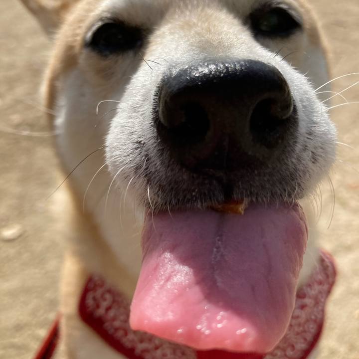 8e35c36c e65d 490f a346 04afe795b53c 1617340809536