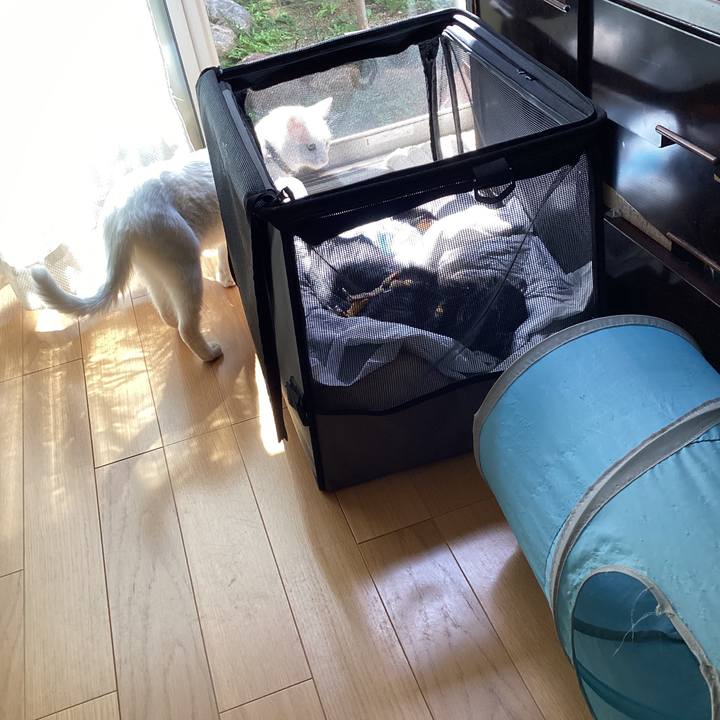 8e35e4c8 75e9 4227 a9de ed3d0446a3af 1649384801245