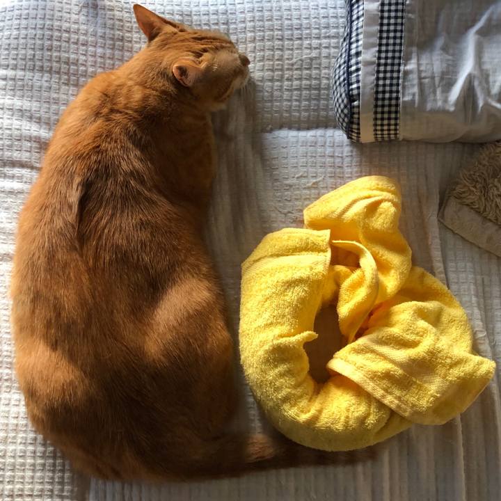 8e35ef9e 0a9a 443d 876b 8822addafea9 1600723102286