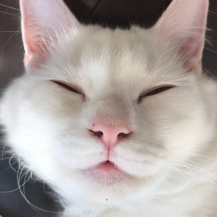 8e361834 e922 44a0 b124 550c4217135b 1522507408333