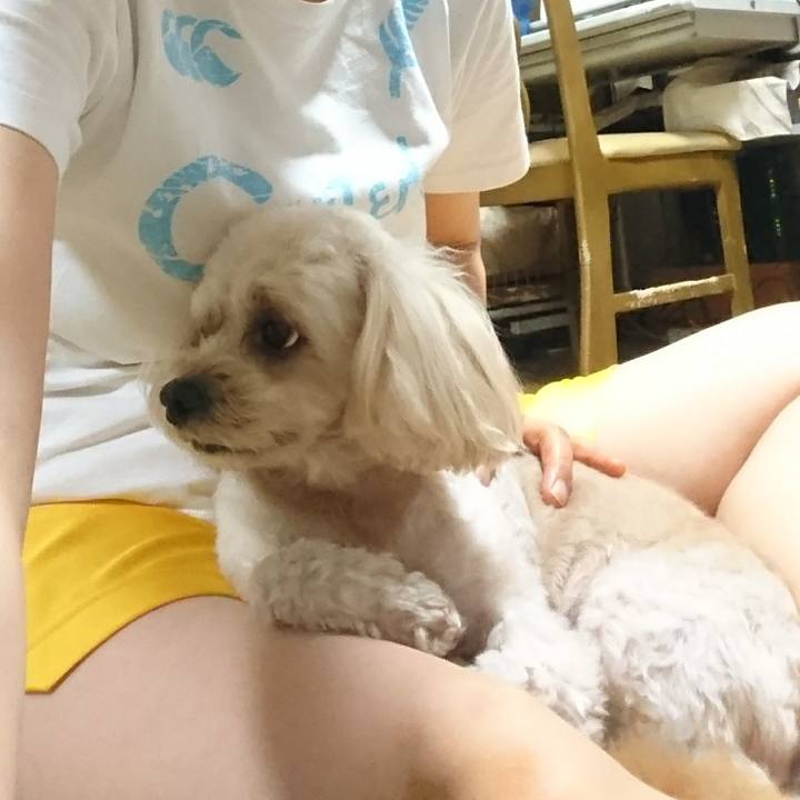 8e361c5c bed0 4e8d 98b5 1905f68345fc 1533650002747