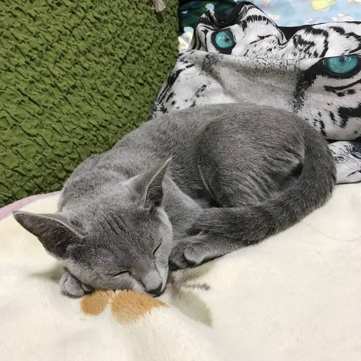 8e3636ff 610f 4e8f a1cd 0f660e9ee69e 1507890085165