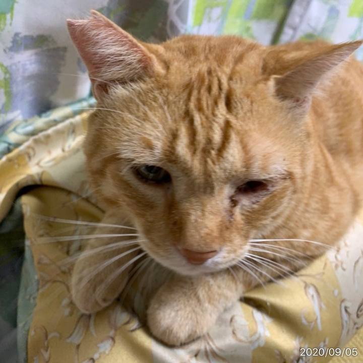 8e363739 cfd5 4d38 95e7 799f89dd7908 1599304817065