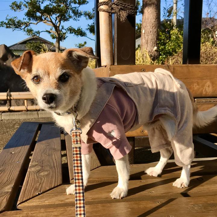 8e363a59 38ea 43ec 8f73 01c116ac588e 1612598404516