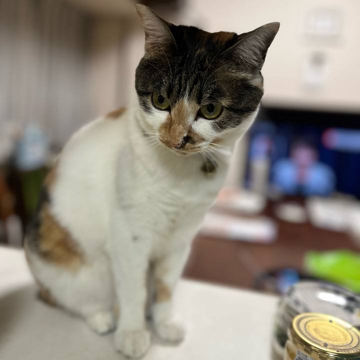 8e364087 6a3a 4f1d b005 b0f4cec9f203 1765975255389