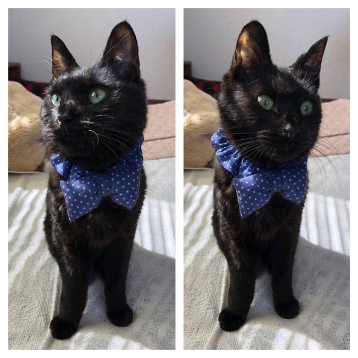 8e364281 ebd1 4295 ba3d fc4f814f7124 1555805396066