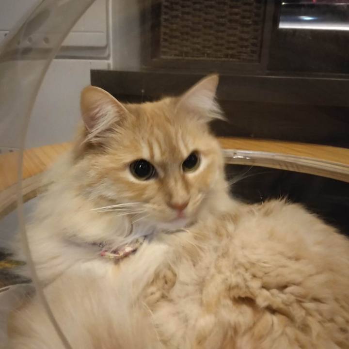 8e364d2f d611 4fc7 a9a0 73ccc76594dc 1679570088399