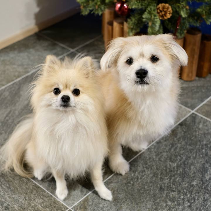 8e366599 a841 4cfb ae04 34f4a53944b7 1763501201897