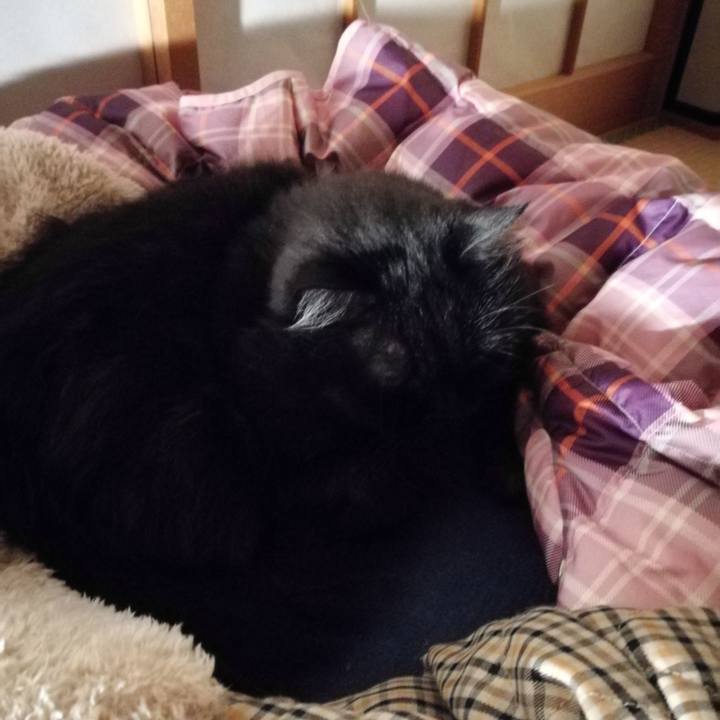 8e366a59 e5e1 4630 918d a4903bd663a9 1519476809169