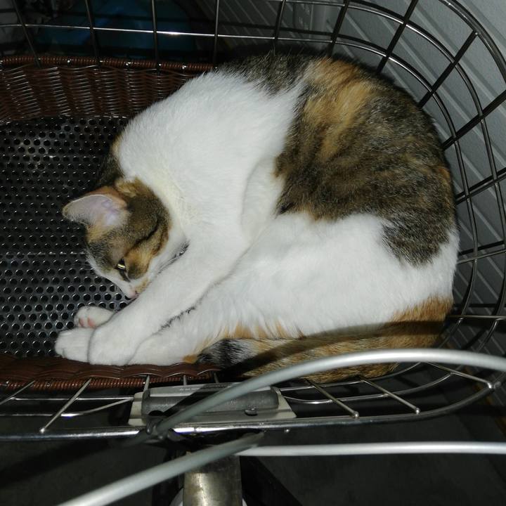 8e36cbcd 75b2 4b38 9cfc 98f6ecc9755e 1599087600717