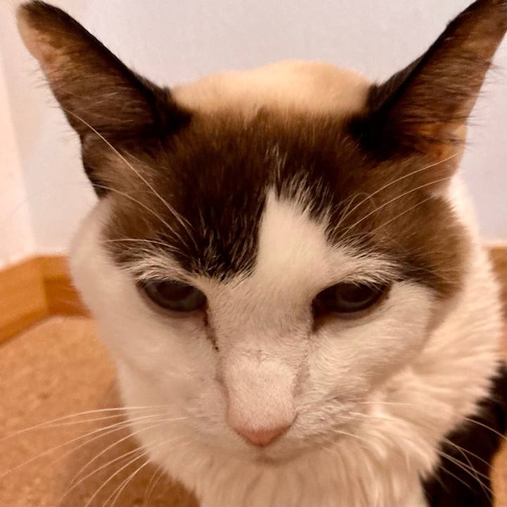 8e36e221 8543 4d82 9658 acc15cce85b6 1678365146140