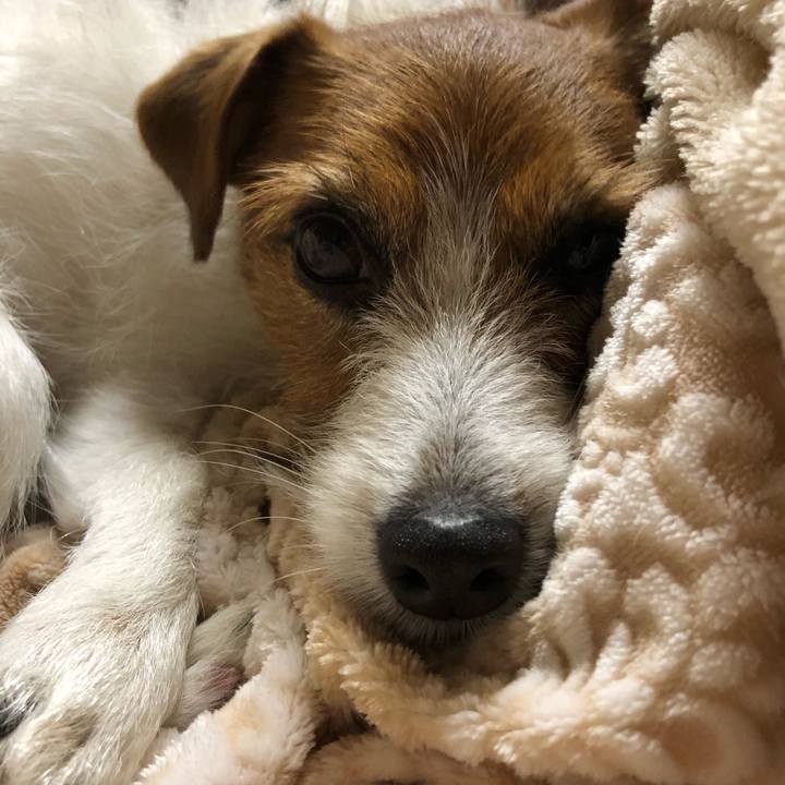 8e3725f6 7e0f 4ffd 88ec ea21468ffda8 1520677048986