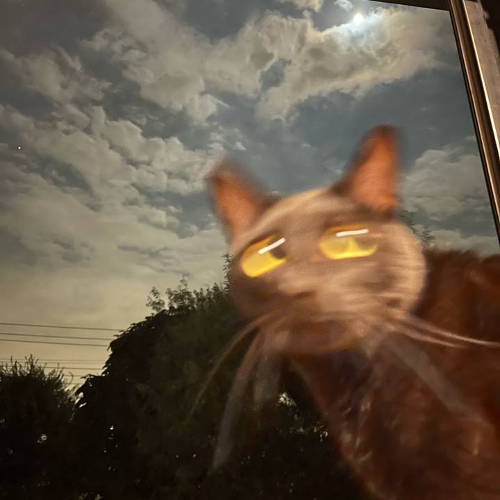 8e373202 d445 4711 b4bd 54c9d93d3a7b 1696052089697