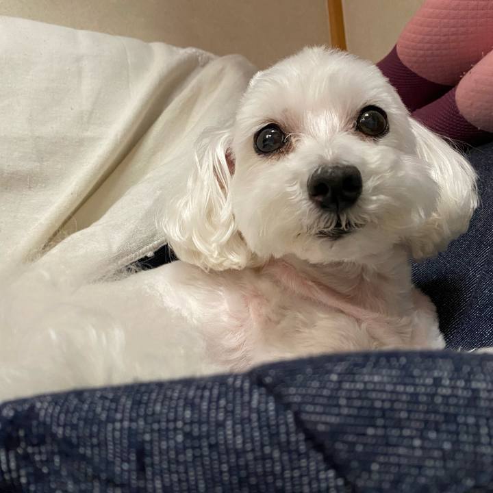 8e37861a e6a5 4ab6 b4d3 7c1c84c676d0 1696048893825