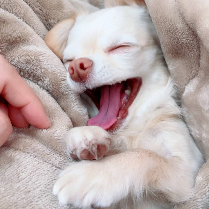 8e37ba79 02b9 44ca a377 437b8ae7f69f 1708225170177