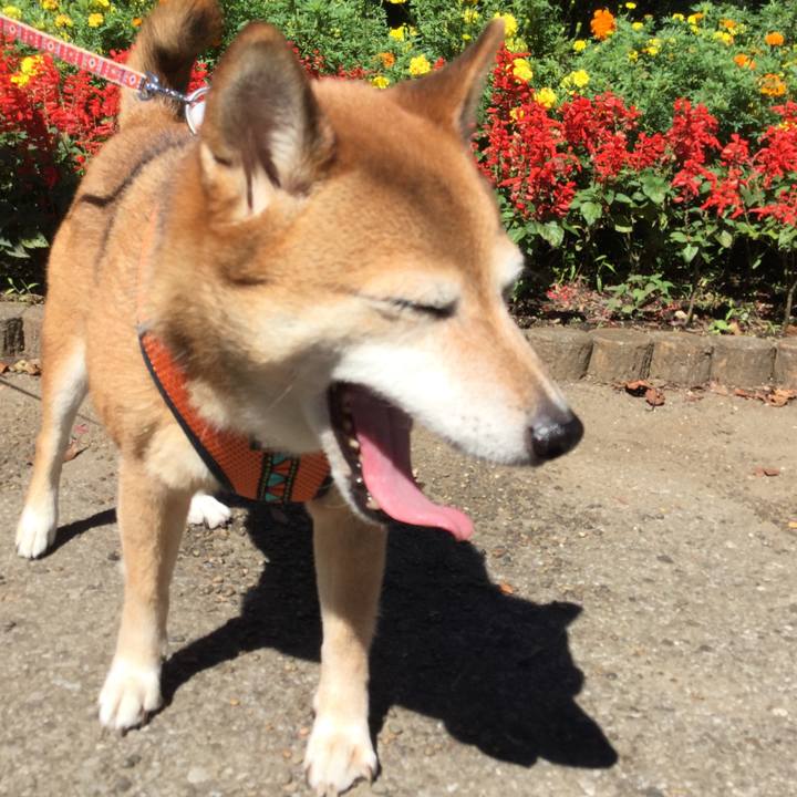 8e37d296 1f5a 41d2 8956 7e2f352b88d0 1632108077351