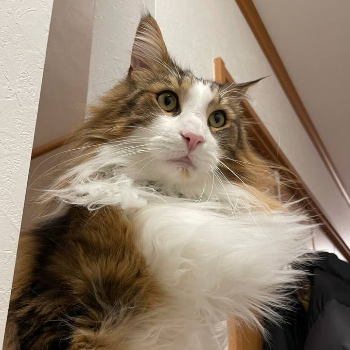 8e37d7eb 0513 4a90 8e35 f3c44469a1d4 1675368249135