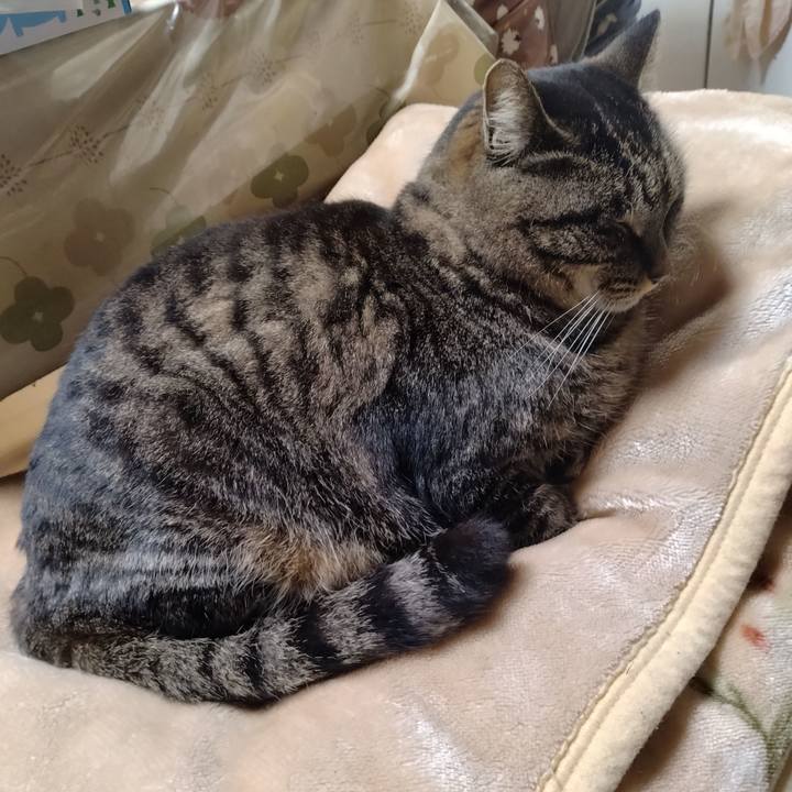 8e381d14 5416 4d50 89f0 69cf6a970e2d 1706441042340