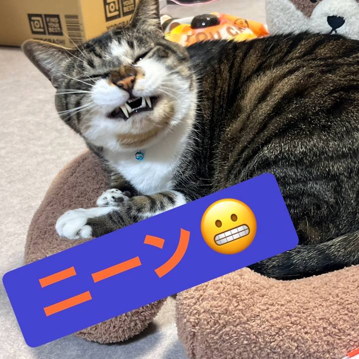 8e3833d0 48fa 4ac3 8d8e 28a416f1fcd5 1769255004156