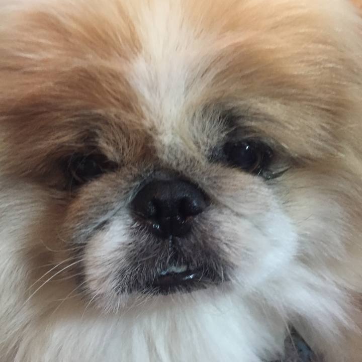 8e3872bd b1fc 45ae b49f 686bc7c5c8d6 1530349469874