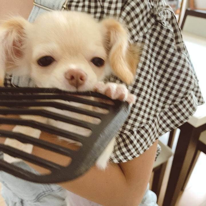 8e387dac d4a4 4c99 ae79 af03186ef4a4 1592019504795