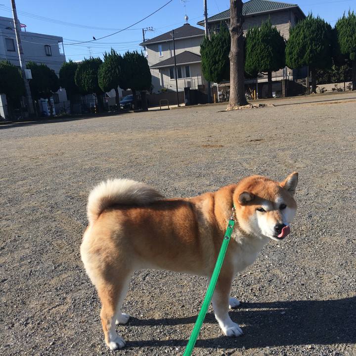 8e387de5 d90a 4e1e 8f69 e5ff62646d35 1603237618103