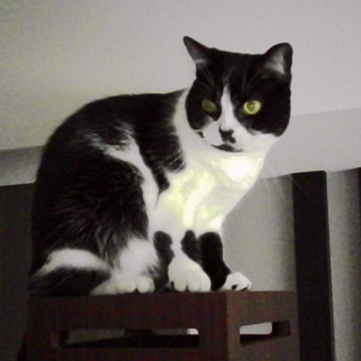 8e387e52 8ee8 496f 928b 9eeb400bad92 1761360334475