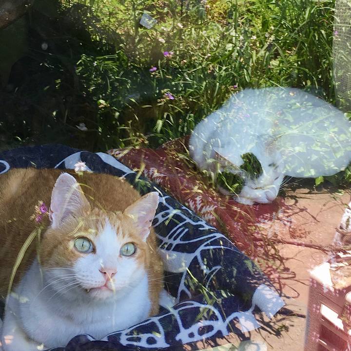 8e3899e8 e6c6 4cd2 b76a 1ad2c55d815c 1591516526251