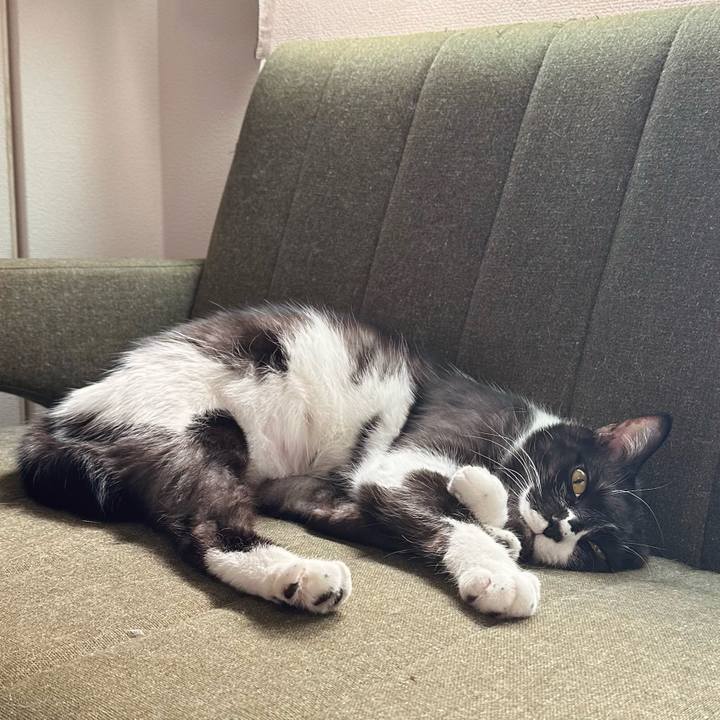 8e38bc53 0eca 4bf4 8957 2d5d71c39eef 1774507605040